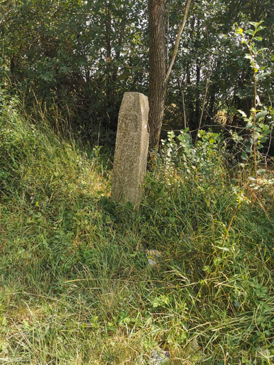 Solt — photo 08