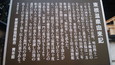 Sakurambo Higashine Hot Spring — photo 12