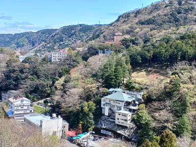 Tenzan Onsen — photo 18