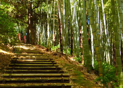 Yumoto No Hiroba — photo 05