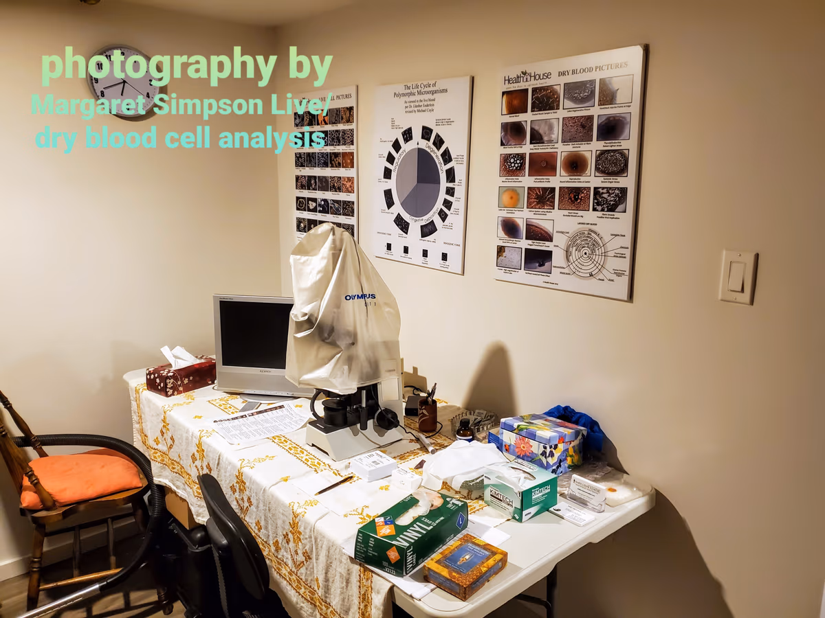 Cedar Medicine Woman Wellness Studio