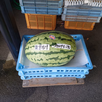 日帰り入浴 せと温泉 小沓の湯 — photo 07