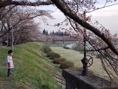 Kakunodate Hot Spring — photo 16