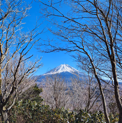 Yurakutei — photo 11