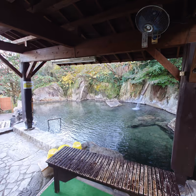 いわくらの杜 石庭 — photo 08
