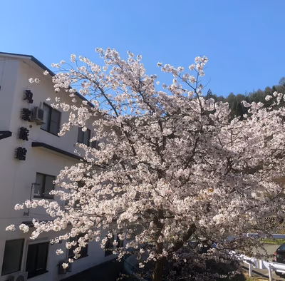 Shikitei — photo 17