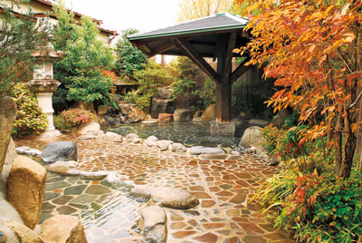 Kikuchi Valley Hot Springs Iwakura — photo 11