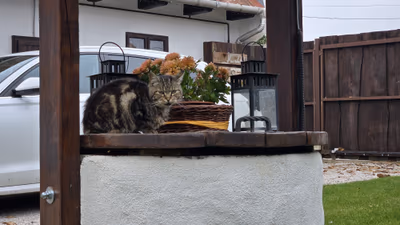 A MI KISHÁZUNK vendégház — photo 13