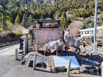 Sumatakyo Onsen open — photo 09