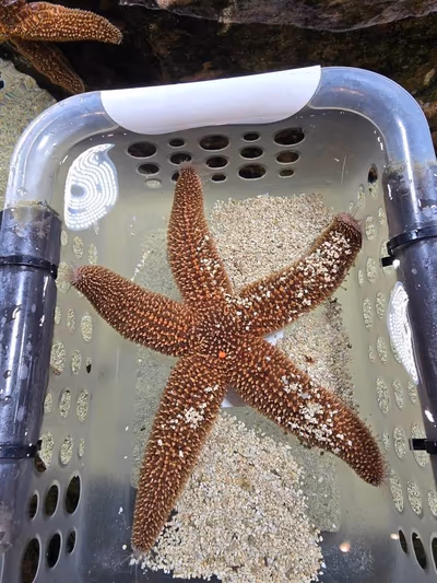 The Aquatarium — photo 21