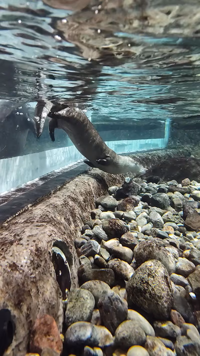 The Aquatarium — photo 24