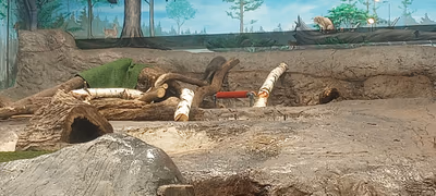The Aquatarium — photo 38