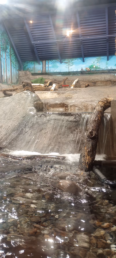 The Aquatarium — photo 40