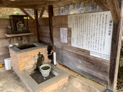 Himi — photo 15