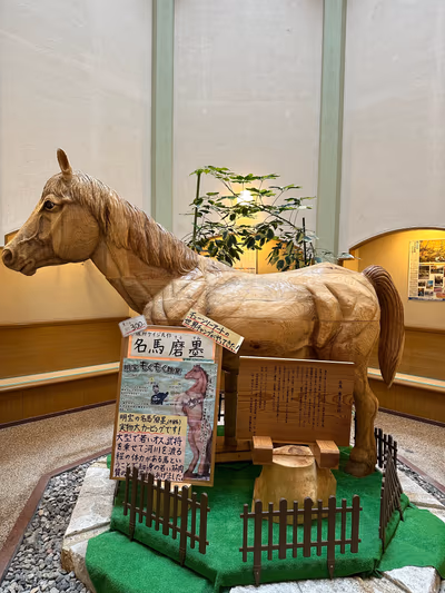 Kamiho no Yu — photo 09