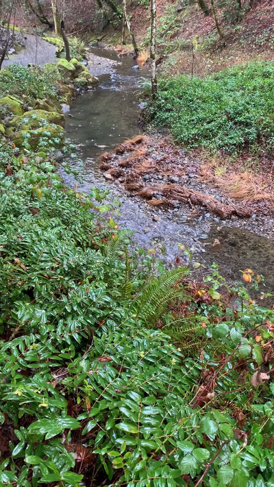 Orr Hot Springs Resort — photo 03
