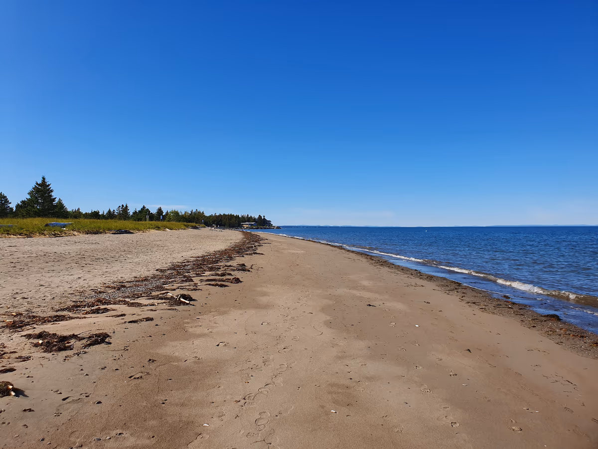 Plage Youghall Beach