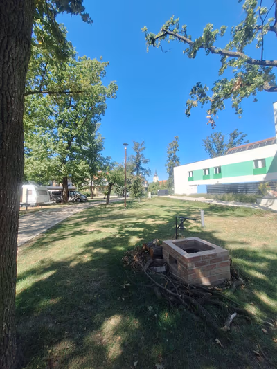 Bihar Termálliget Camping — photo 17