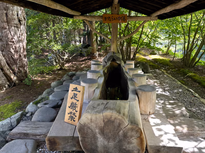 Ginkonyu — photo 11