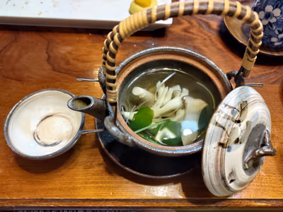 巴川鉱泉(奥秩父鉱泉郷) — photo 11