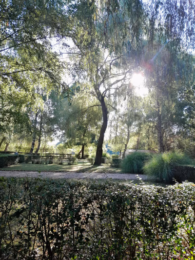 Castrum Thermal Camping — photo 14