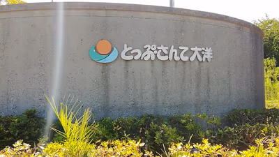 Taiyo Hot Spring — photo 10
