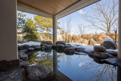 Fukumitsu Hanayama Onsen — photo 08