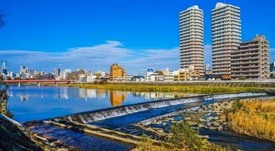 Sendai Korona — photo 17