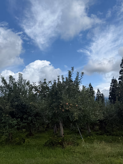 Nukumori no Yu Spaful — photo 14