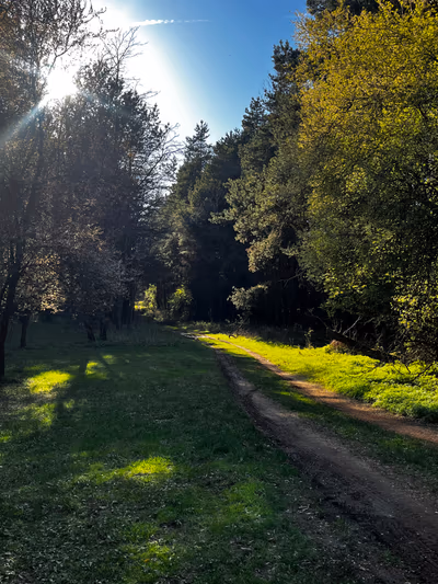 Bakony Deep Forest Vendégház — photo 13