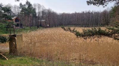Bakony Deep Forest Vendégház — photo 17