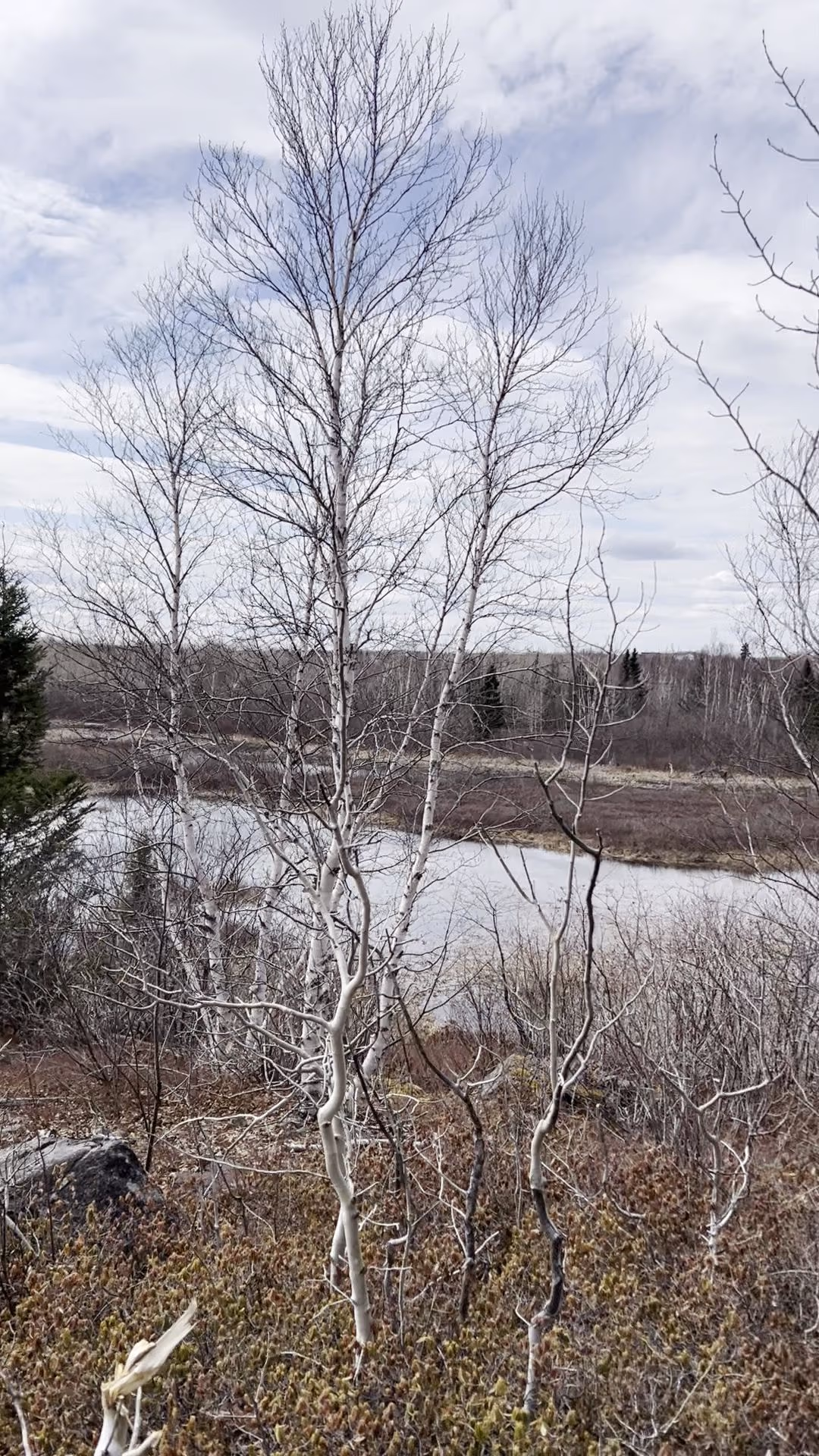 Corduroy Brook Nature Trail