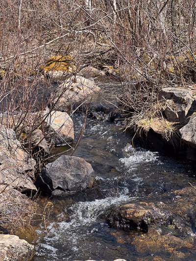 Corduroy Brook Nature Trail — photo 16