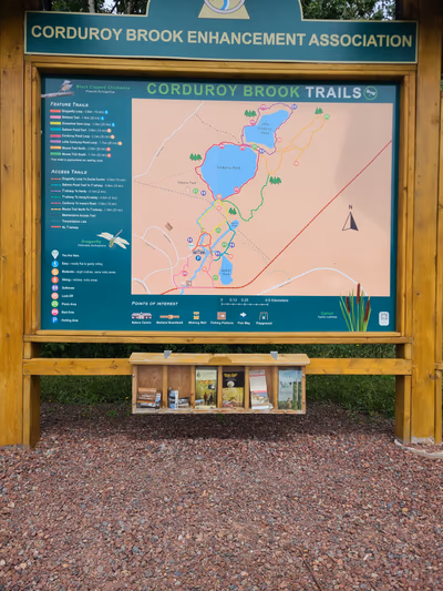 Corduroy Brook Nature Trail — photo 20