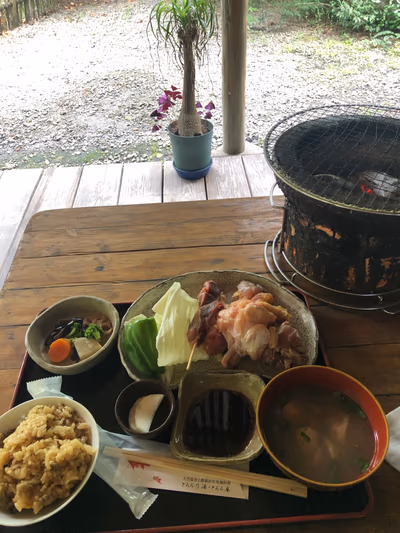 炭火焼定食 — photo 14
