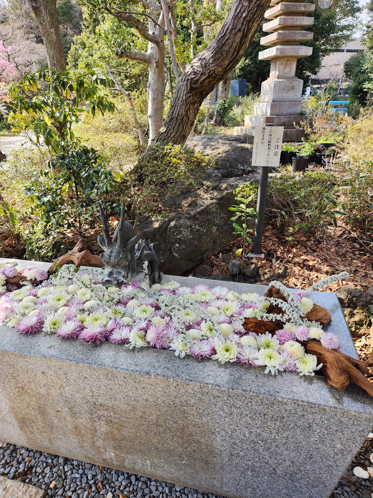 Kakeinoyu
