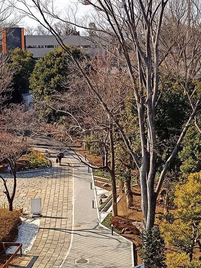 Kakeinoyu — photo 20