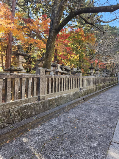 Kotohiragu — photo 17