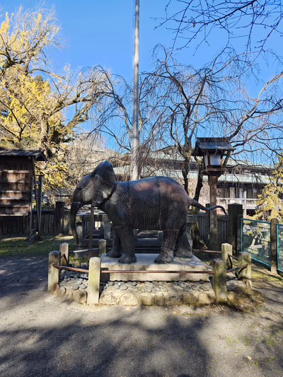 Kotohiragu — photo 18