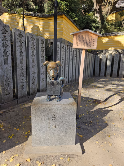 Kotohiragu — photo 19