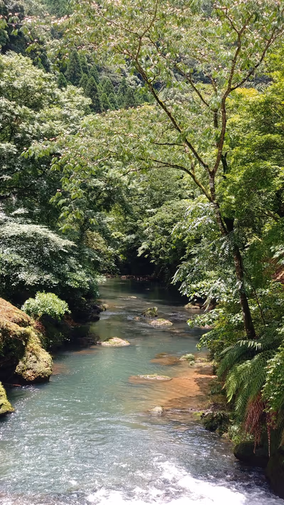塩浸温泉龍馬公園 龍馬とお龍の湯 — photo 09