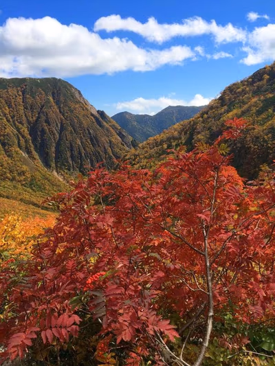 元名の鉱泉 (野湯) — photo 02