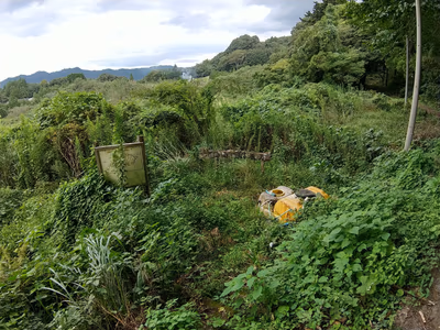 元名の鉱泉 (野湯) — photo 16