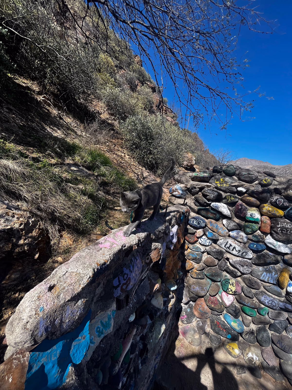 Verde Hot Springs