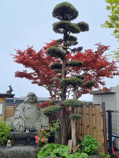 Izuminoyu — photo 12