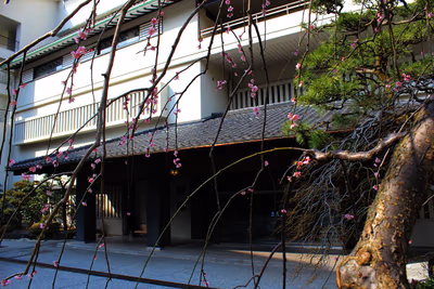 Kuronagi Onsen Ryokan — photo 02