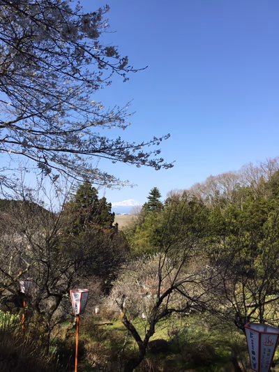 湯田川温泉 — photo 02
