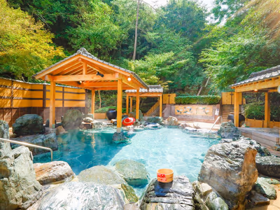 Forest Oedo Onsen Monogatari Hotel Reoma — photo 09