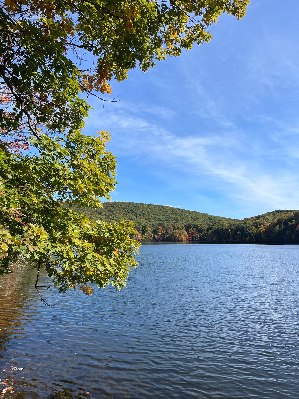 Parc national du Mont