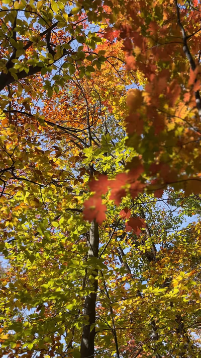 Parc national du Mont — photo 14